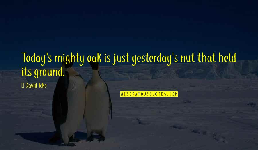 Helppik Quotes By David Icke: Today's mighty oak is just yesterday's nut that