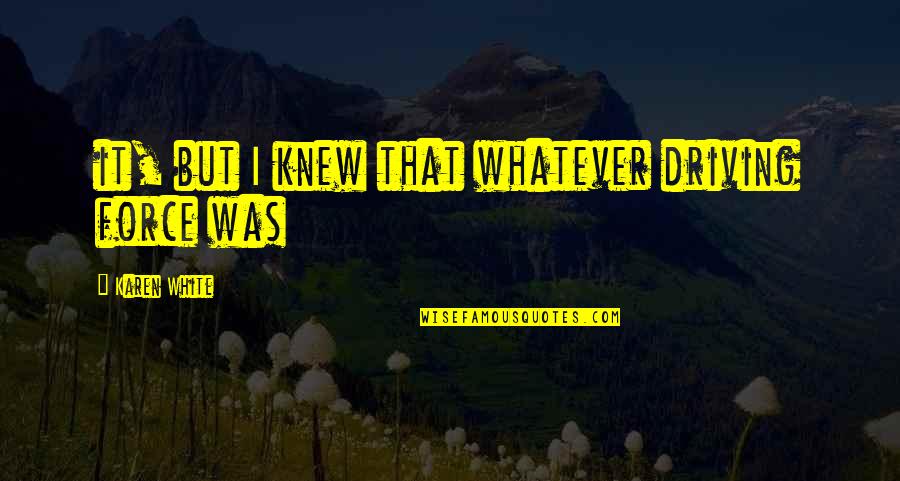Helser Bros Quotes By Karen White: it, but I knew that whatever driving force