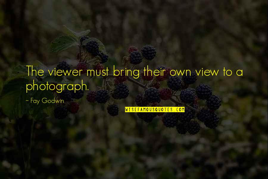 Helyzeti Quotes By Fay Godwin: The viewer must bring their own view to