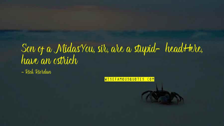 Hema And Kaushik Quotes By Rick Riordan: Son of a MidasYou, sir, are a stupid-headHere,