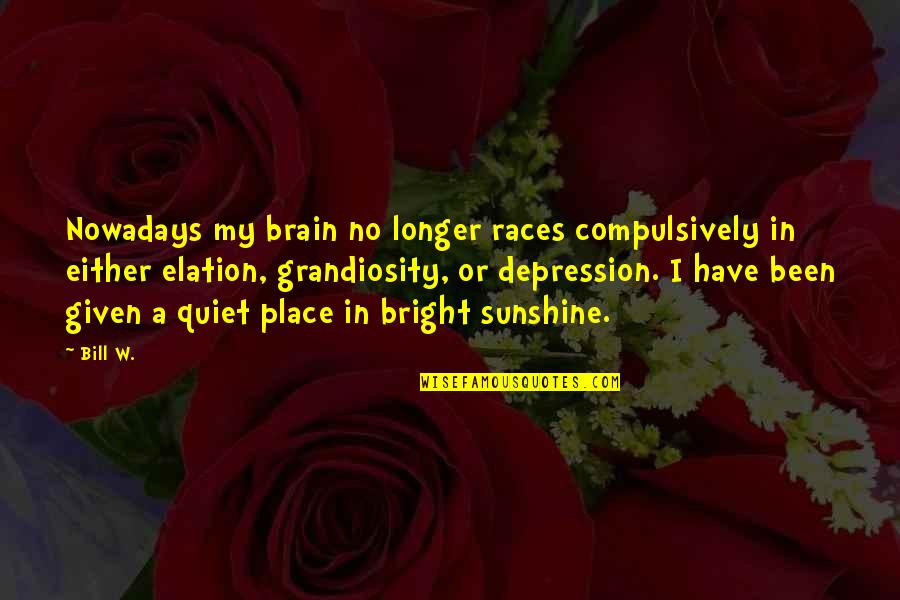Hemachandra Mathematician Quotes By Bill W.: Nowadays my brain no longer races compulsively in