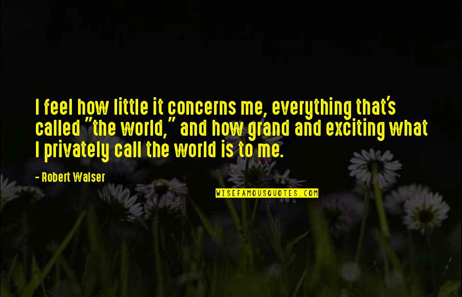 Hemadama Quotes By Robert Walser: I feel how little it concerns me, everything Hemadama Quotes By Robert Walser: I feel how little it concerns me, everything