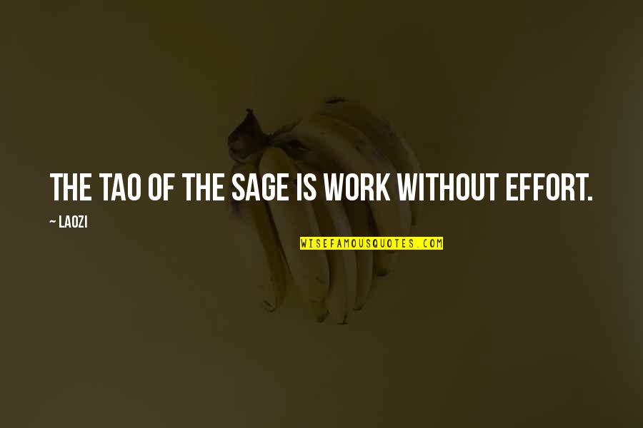 Hembrow Lawn Quotes By Laozi: The Tao of the sage is work without