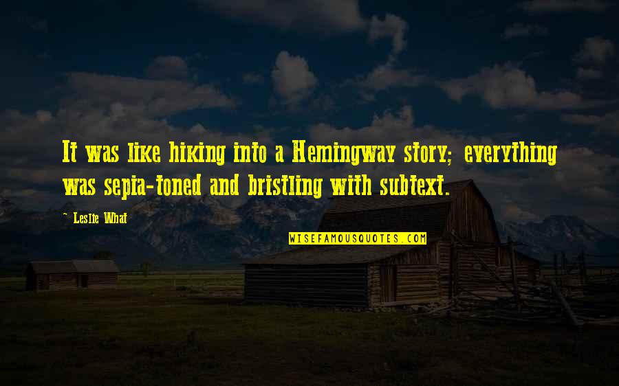 Hemingway Funny Quotes By Leslie What: It was like hiking into a Hemingway story;