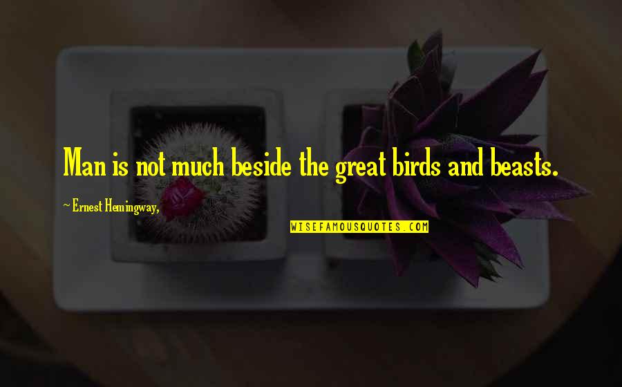 Hemingway Quotes By Ernest Hemingway,: Man is not much beside the great birds