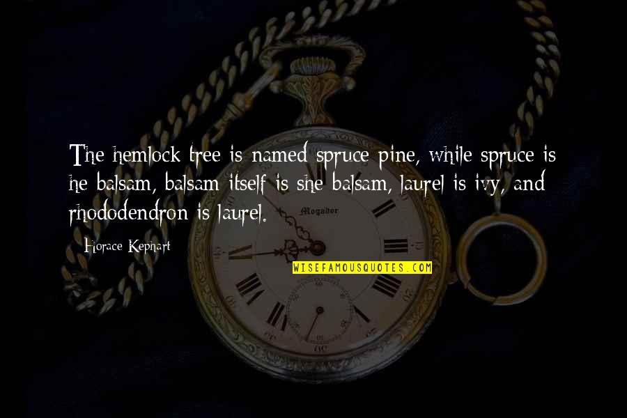 Hemlock's Quotes By Horace Kephart: The hemlock tree is named spruce-pine, while spruce