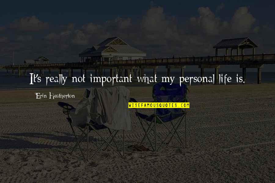 Hemmersbach Jobs Quotes By Erin Heatherton: It's really not important what my personal life