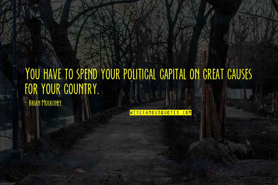 Hemmo Karja Quotes By Brian Mulroney: You have to spend your political capital on