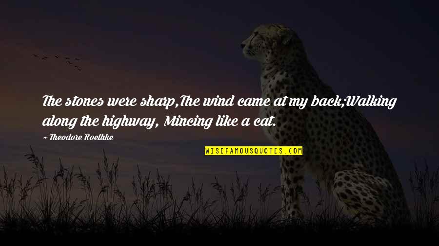 Hemp Seed Quotes By Theodore Roethke: The stones were sharp,The wind came at my Hemp Seed Quotes By Theodore Roethke: The stones were sharp,The wind came at my