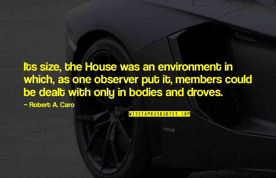 Hemsley And Hemsley Quotes By Robert A. Caro: Its size, the House was an environment in Hemsley And Hemsley Quotes By Robert A. Caro: Its size, the House was an environment in