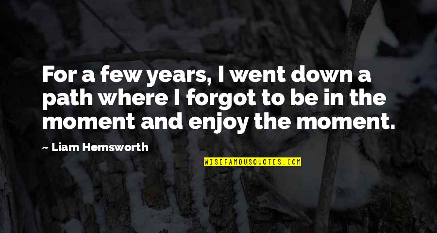 Hemsworth Quotes By Liam Hemsworth: For a few years, I went down a