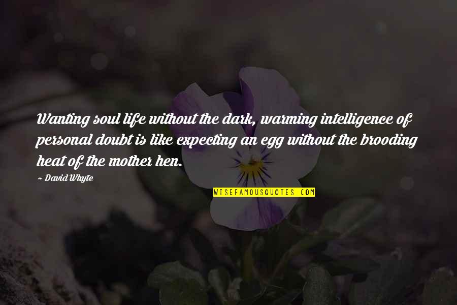 Hen Best Quotes By David Whyte: Wanting soul life without the dark, warming intelligence