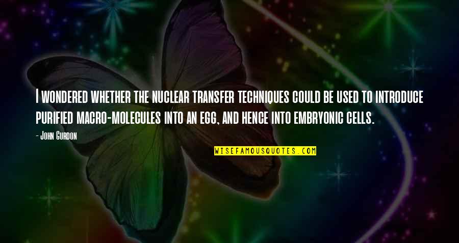 Hence The Quotes By John Gurdon: I wondered whether the nuclear transfer techniques could
