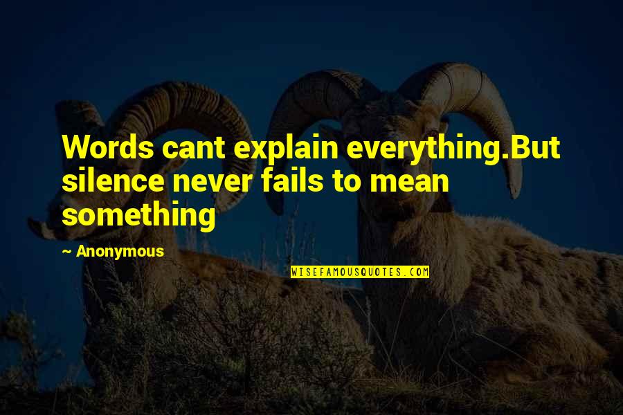 Henchman Noises Quotes By Anonymous: Words cant explain everything.But silence never fails to