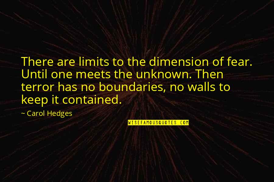Hendog Quotes By Carol Hedges: There are limits to the dimension of fear.