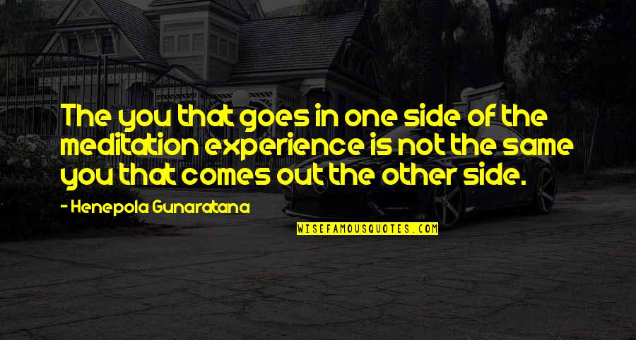 Henepola Gunaratana Quotes By Henepola Gunaratana: The you that goes in one side of