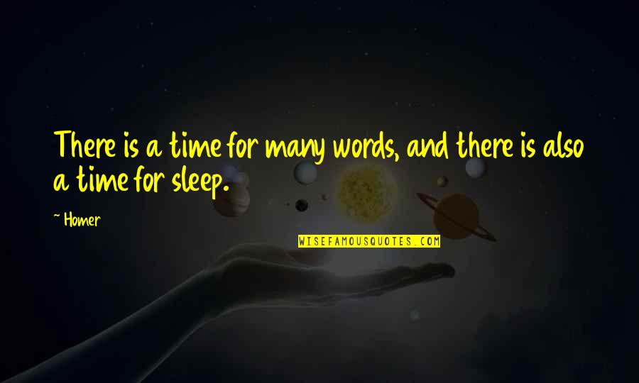 Henesh Quotes By Homer: There is a time for many words, and