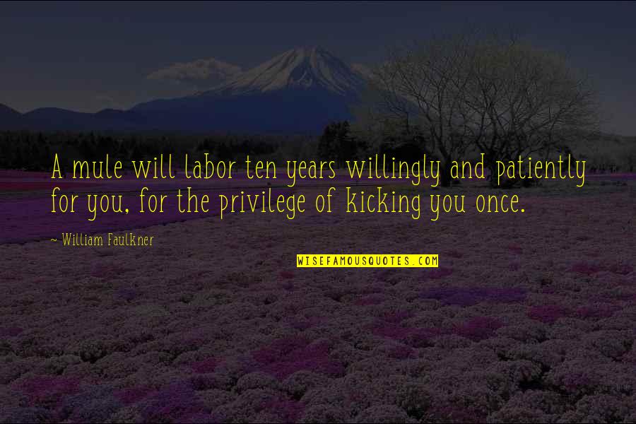 Henk Potts Quotes By William Faulkner: A mule will labor ten years willingly and