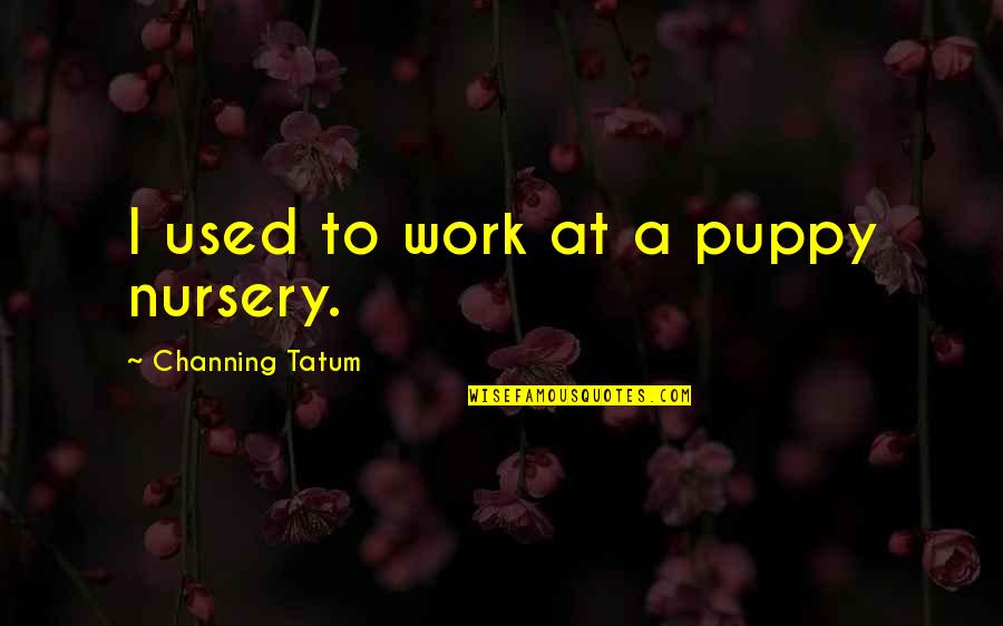 Hennecke Inc Quotes By Channing Tatum: I used to work at a puppy nursery.