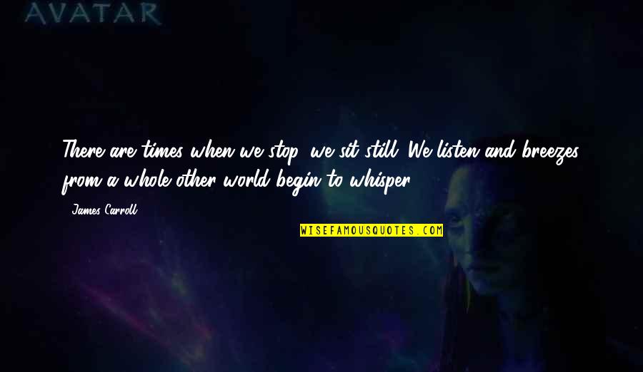 Henneman Way Quotes By James Carroll: There are times when we stop, we sit