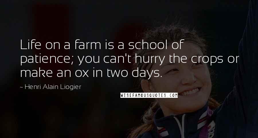 Henri Alain Liogier quotes: Life on a farm is a school of patience; you can't hurry the crops or make an ox in two days.