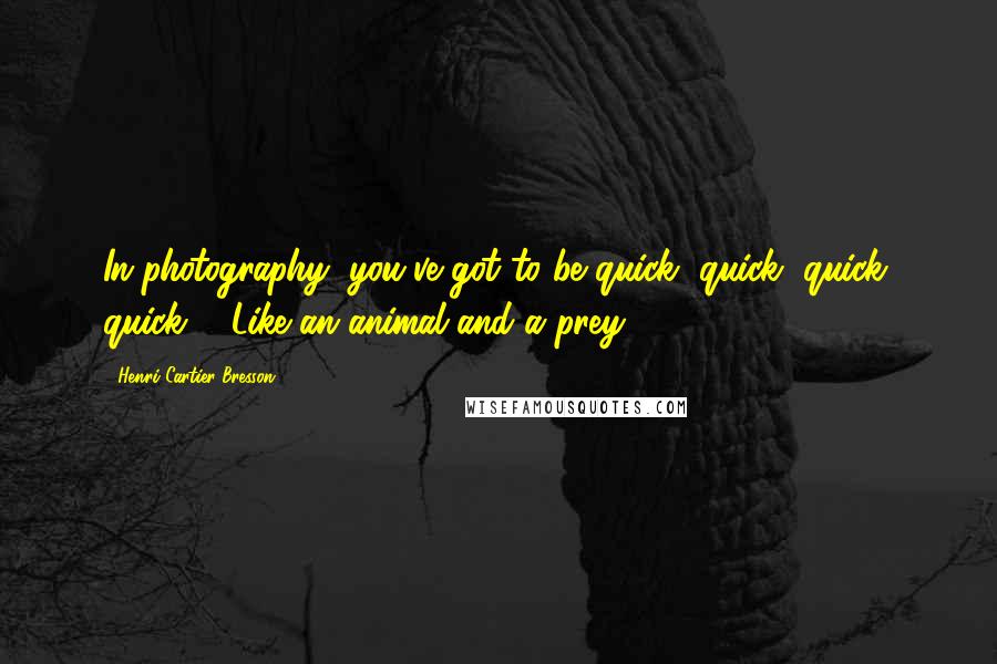 Henri Cartier-Bresson quotes: In photography, you've got to be quick, quick, quick, quick ... Like an animal and a prey.