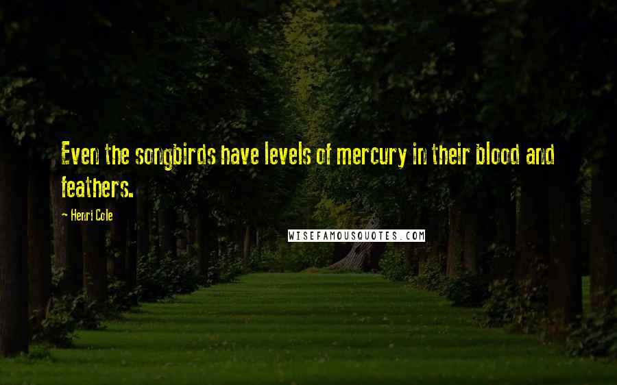 Henri Cole quotes: Even the songbirds have levels of mercury in their blood and feathers.