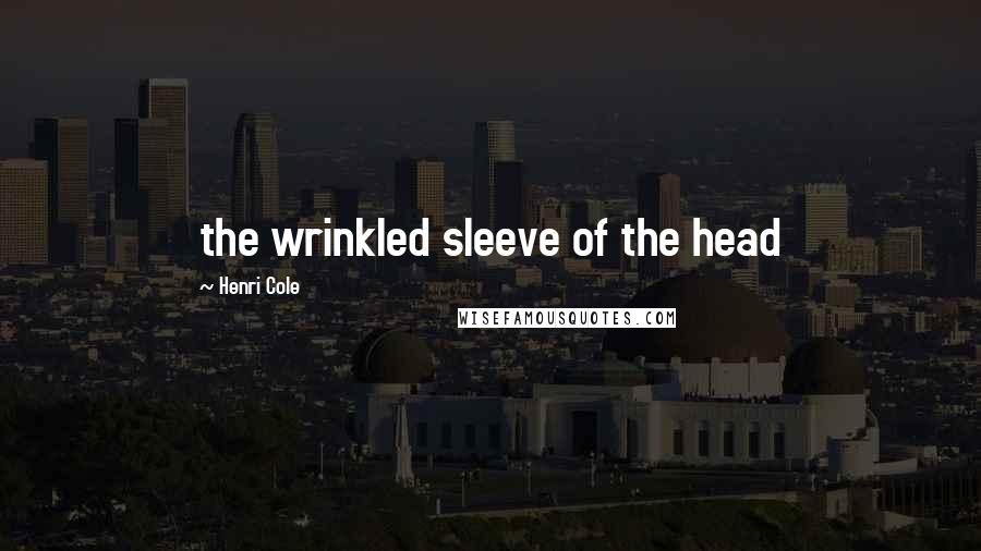Henri Cole quotes: the wrinkled sleeve of the head