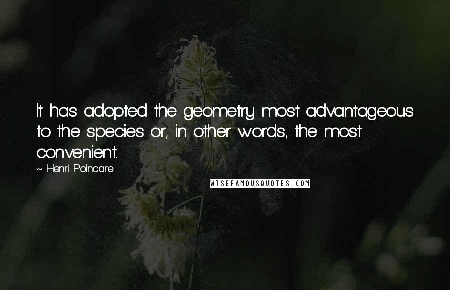 Henri Poincare quotes: It has adopted the geometry most advantageous to the species or, in other words, the most convenient. Henri Poincare quotes: It has adopted the geometry most advantageous to the species or, in other words, the most convenient.