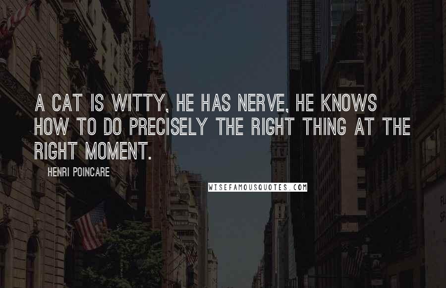 Henri Poincare quotes: A cat is witty, he has nerve, he knows how to do precisely the right thing at the right moment.