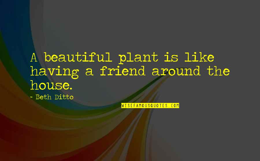 Henrion Graines Quotes By Beth Ditto: A beautiful plant is like having a friend