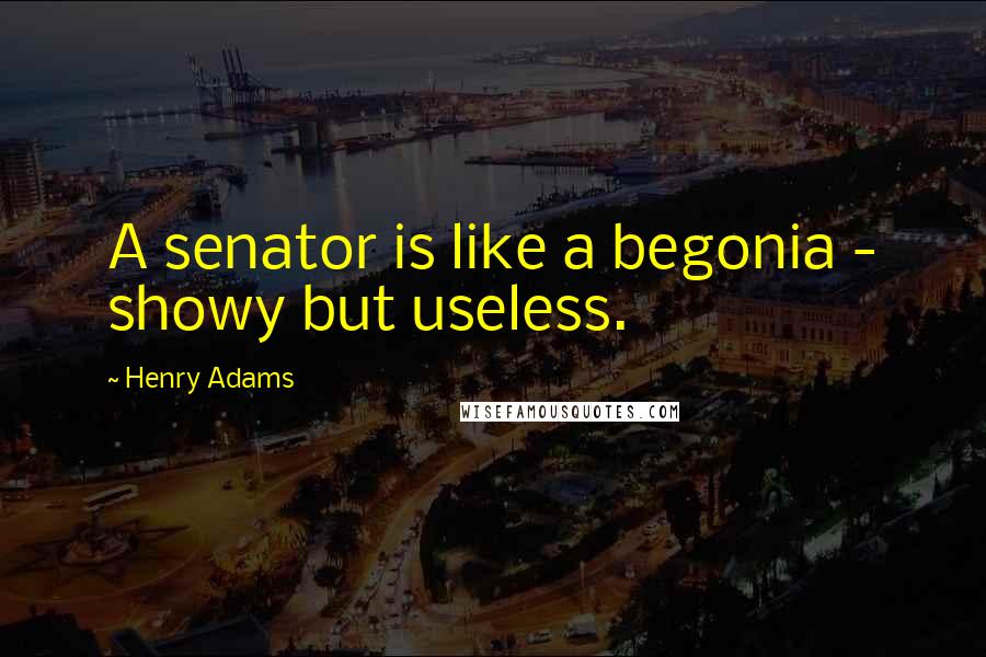 Henry Adams quotes: A senator is like a begonia - showy but useless. Henry Adams quotes: A senator is like a begonia - showy but useless.