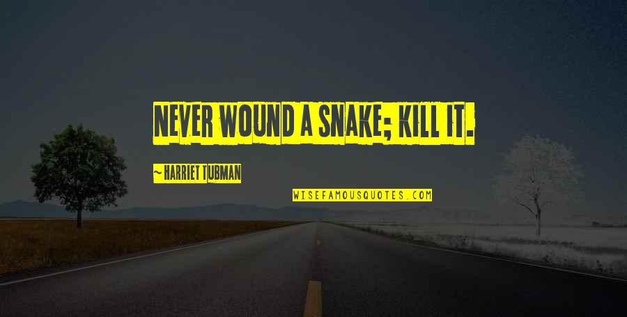 Henry Cavill Quote Quotes By Harriet Tubman: Never wound a snake; kill it. Henry Cavill Quote Quotes By Harriet Tubman: Never wound a snake; kill it.