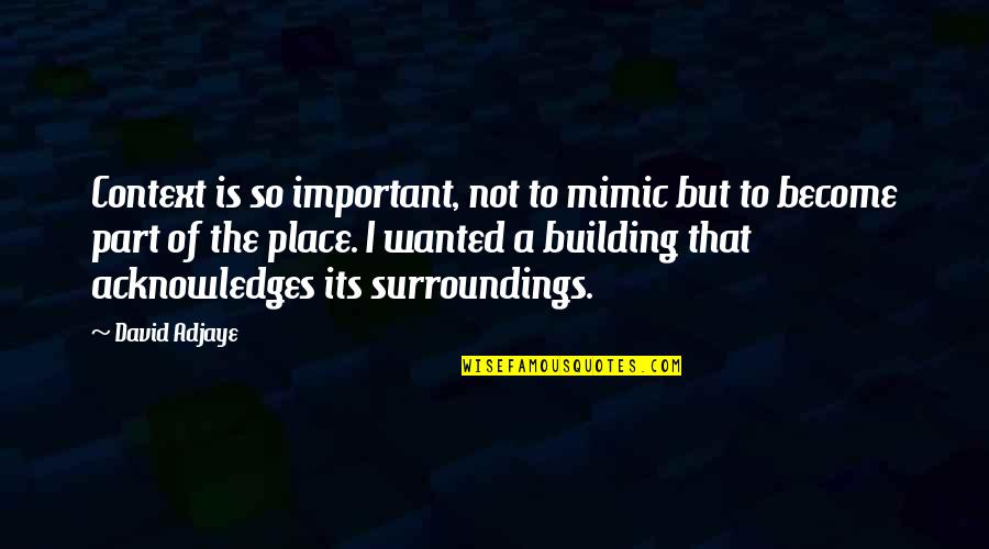 Henry Danger Captain Man Quotes By David Adjaye: Context is so important, not to mimic but