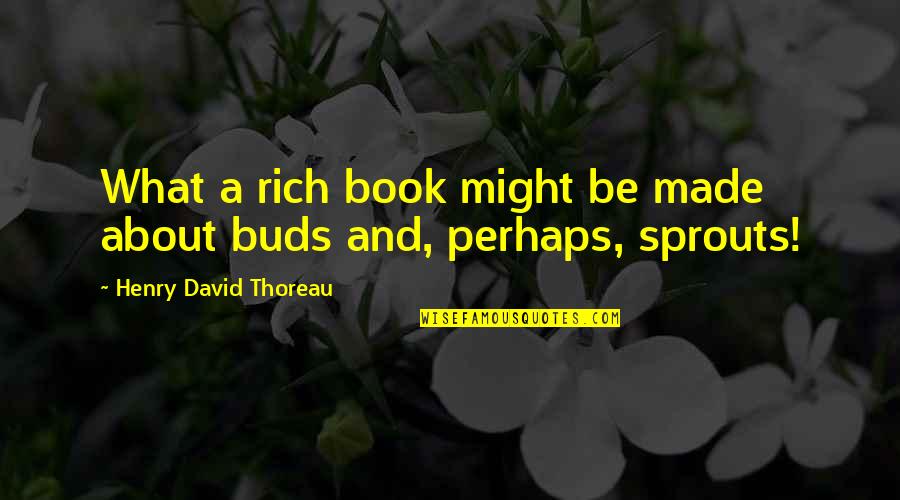 Henry David Thoreau Book Quotes By Henry David Thoreau: What a rich book might be made about