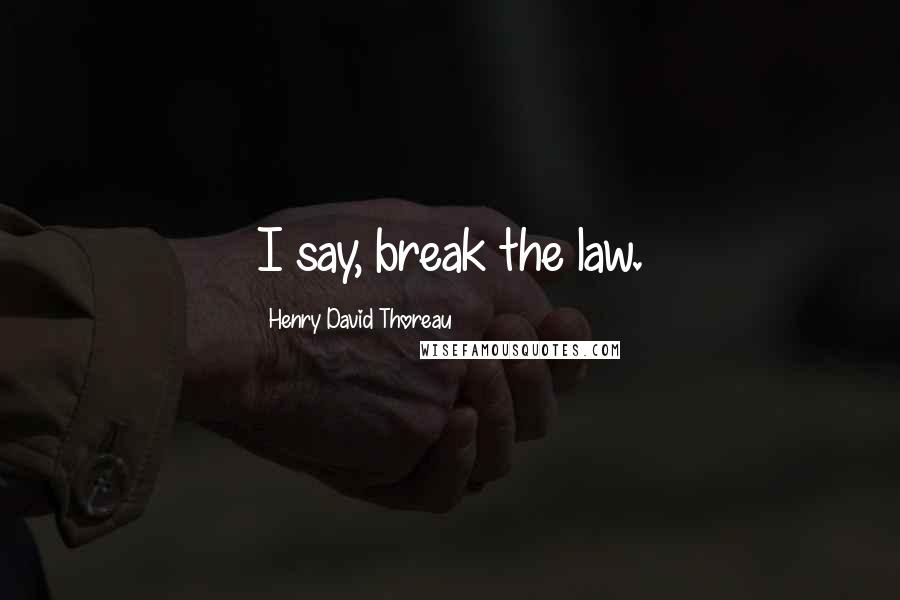 Henry David Thoreau quotes: I say, break the law.