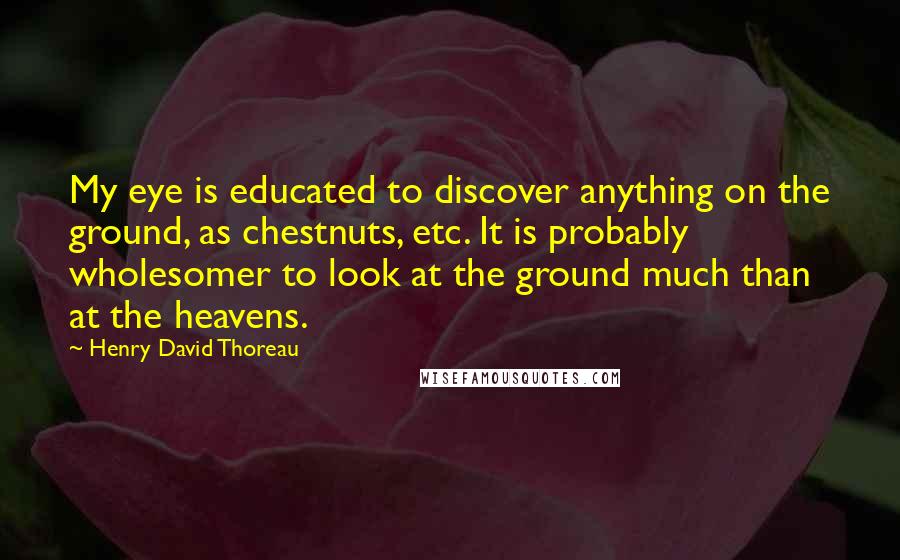 Henry David Thoreau quotes: My eye is educated to discover anything on the ground, as chestnuts, etc. It is probably wholesomer to look at the ground much than at the heavens.