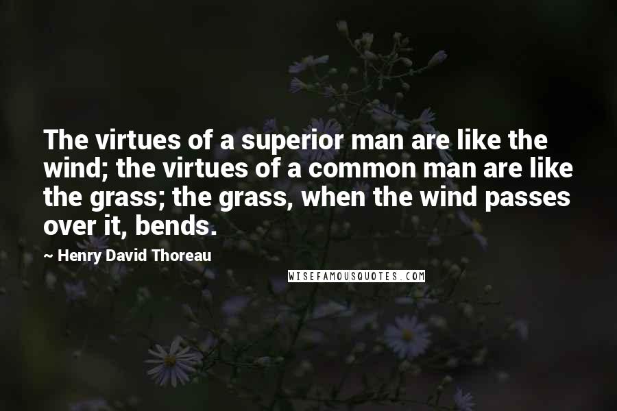 Henry David Thoreau quotes: The virtues of a superior man are like the wind; the virtues of a common man are like the grass; the grass, when the wind passes over it, bends.