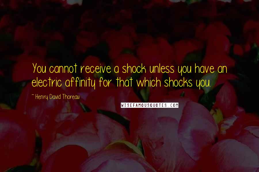 Henry David Thoreau quotes: You cannot receive a shock unless you have an electric affinity for that which shocks you.