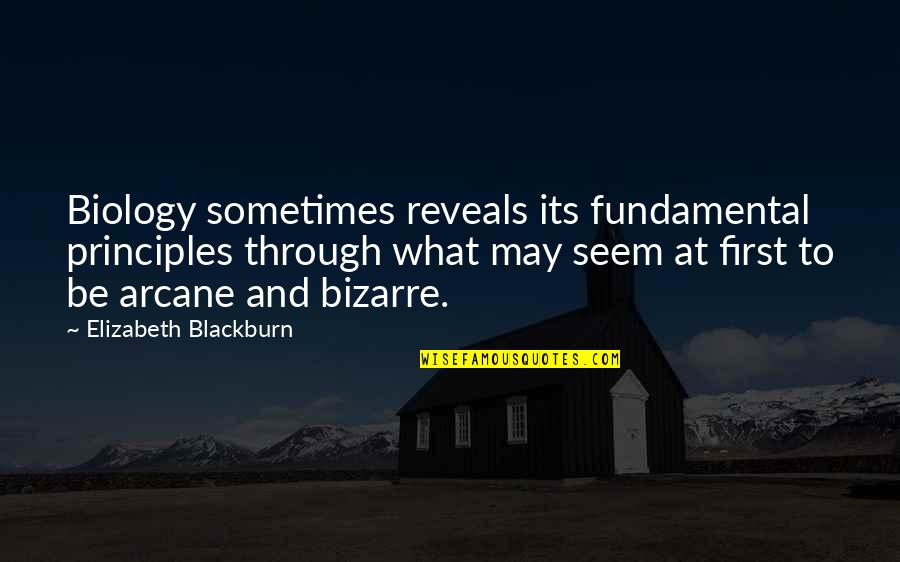 Henry David Thoreau Walden Transcendentalism Quotes By Elizabeth Blackburn: Biology sometimes reveals its fundamental principles through what Henry David Thoreau Walden Transcendentalism Quotes By Elizabeth Blackburn: Biology sometimes reveals its fundamental principles through what