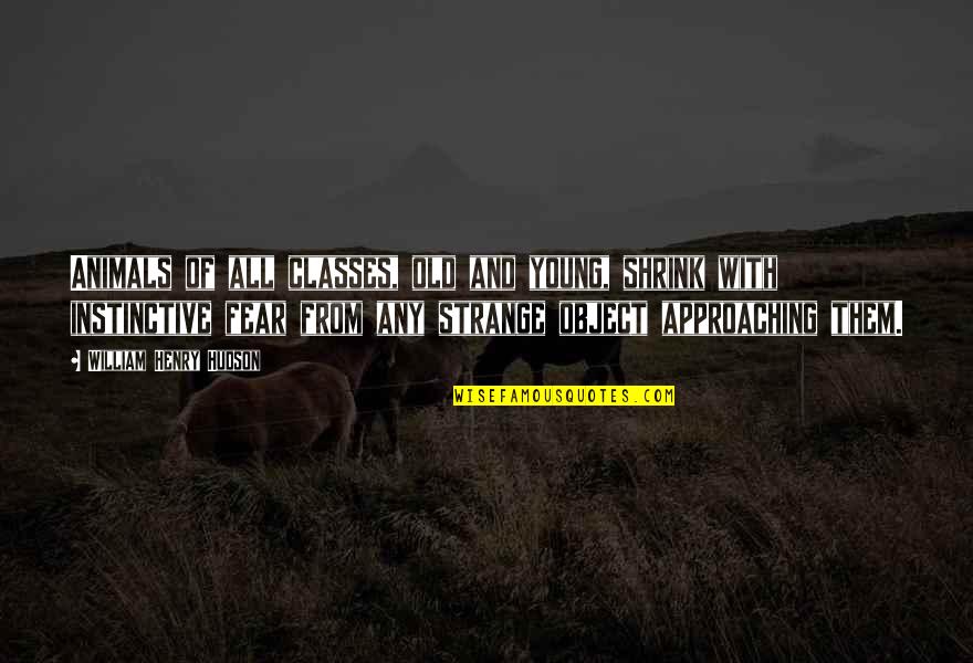 Henry Hudson Quotes By William Henry Hudson: Animals of all classes, old and young, shrink Henry Hudson Quotes By William Henry Hudson: Animals of all classes, old and young, shrink