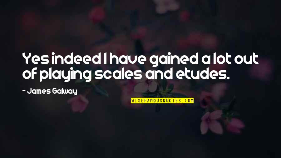 Henry Rearden Quotes By James Galway: Yes indeed I have gained a lot out