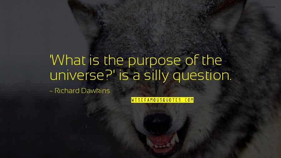 Henry Steinway Quotes By Richard Dawkins: 'What is the purpose of the universe?' is