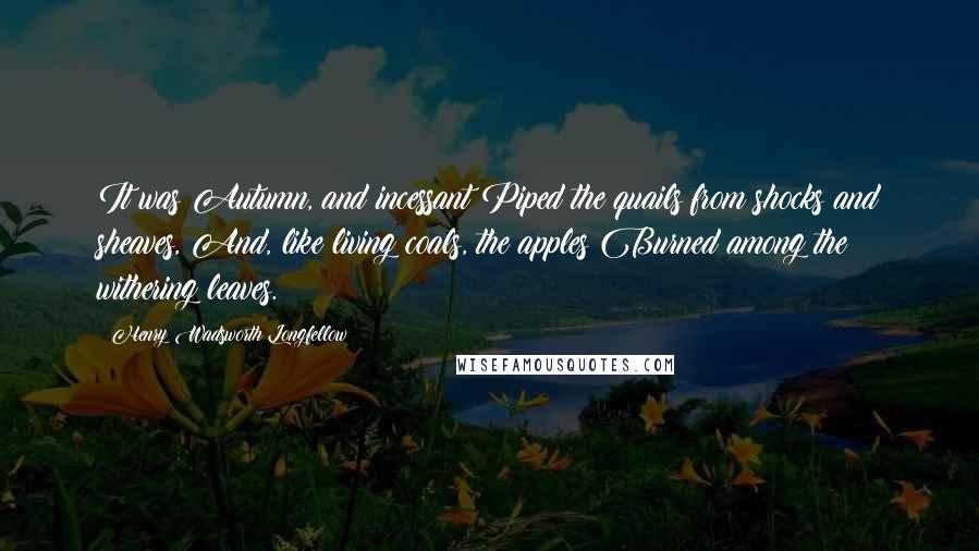 Henry Wadsworth Longfellow quotes: It was Autumn, and incessant Piped the quails from shocks and sheaves, And, like living coals, the apples Burned among the withering leaves.