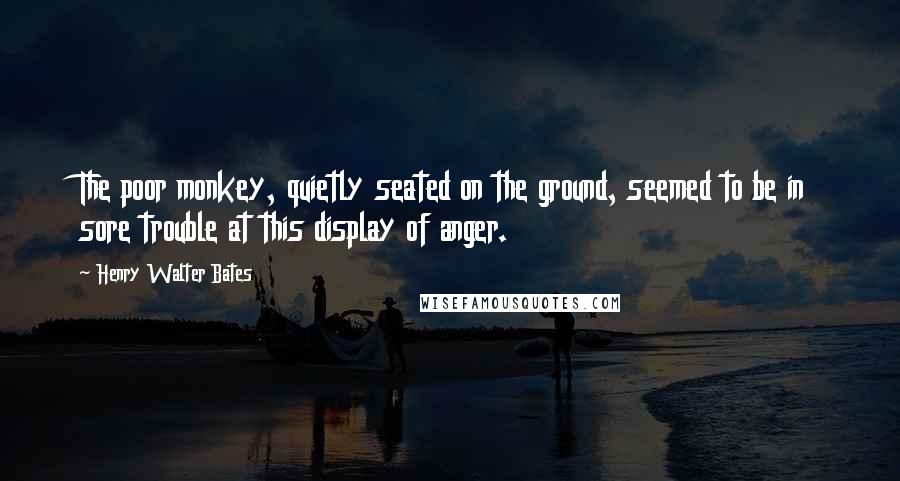 Henry Walter Bates quotes: The poor monkey, quietly seated on the ground, seemed to be in sore trouble at this display of anger.