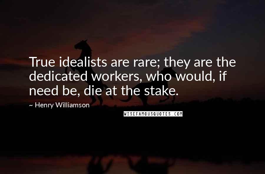 Henry Williamson quotes: True idealists are rare; they are the dedicated workers, who would, if need be, die at the stake.