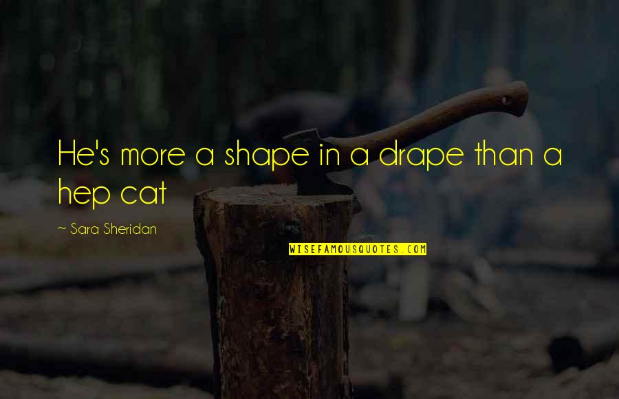 Hep C Quotes By Sara Sheridan: He's more a shape in a drape than