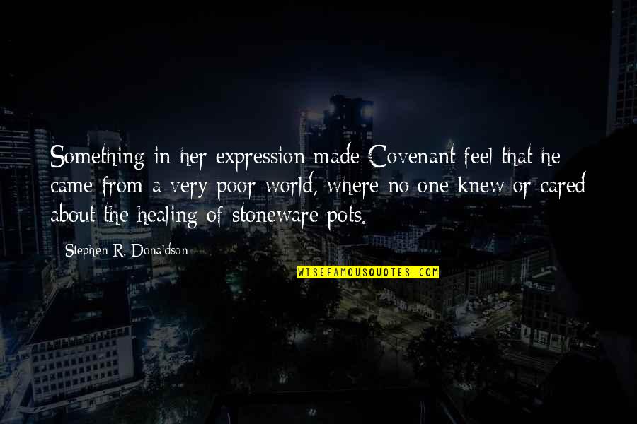 Her Expression Quotes By Stephen R. Donaldson: Something in her expression made Covenant feel that