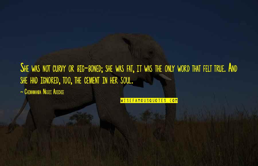 Her Soul Quotes By Chimamanda Ngozi Adichie: She was not curvy or big-boned; she was