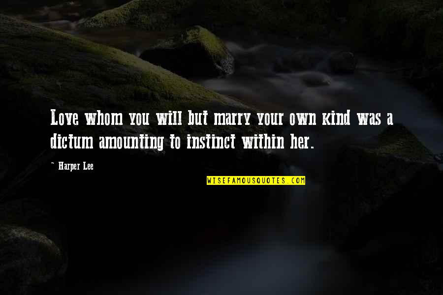 Her To Love You Quotes By Harper Lee: Love whom you will but marry your own